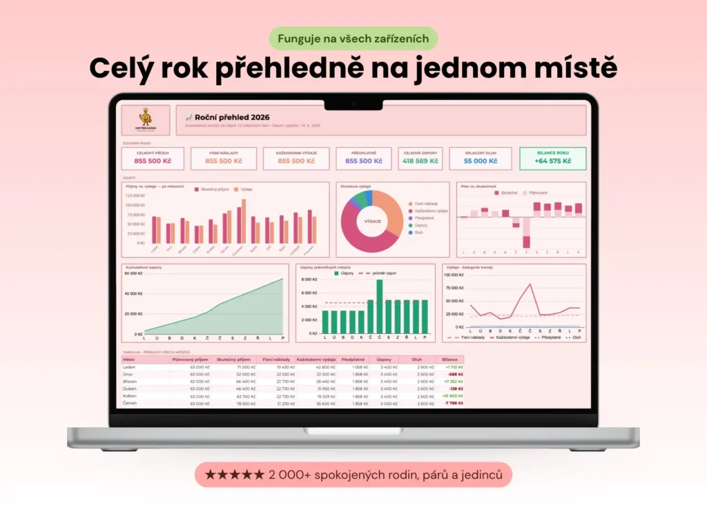 Roční přehled